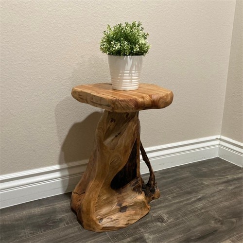 Rustic cedar root - root, flower